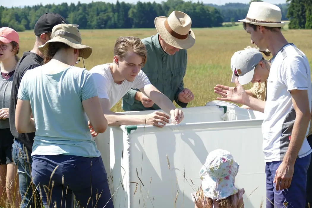 Mühsame Arbeit, die belohnt wurde: Insbesondere verschiedenste Heuschreckenarten zählten zur Ausbeute der Exkursionsteilnehmenden