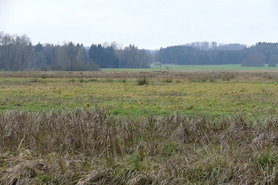 Die Projektfläche der Aktion Zukunft+ 