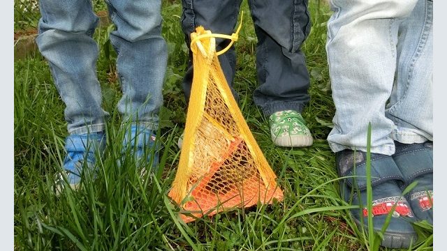 Kindergarten „Die Würmeulen“, Planegg Kindergarten „Die Würmeulen“, Planegg